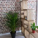 Apartman Speculoos Et Chicoree *