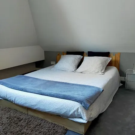 Speculoos Et Chicoree Apartmán Villeneuve-d'Ascq