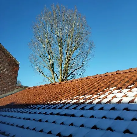 Speculoos Et Chicoree * Villeneuve-d'Ascq