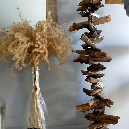 Speculoos Et Chicoree Villeneuve-d'Ascq