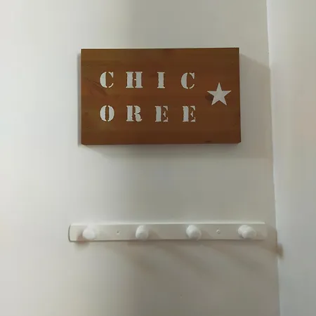 Speculoos Et Chicoree Apartment
