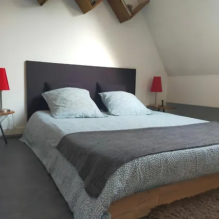 Speculoos Et Chicoree