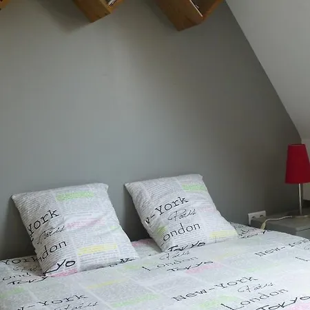 Speculoos Et Chicoree *