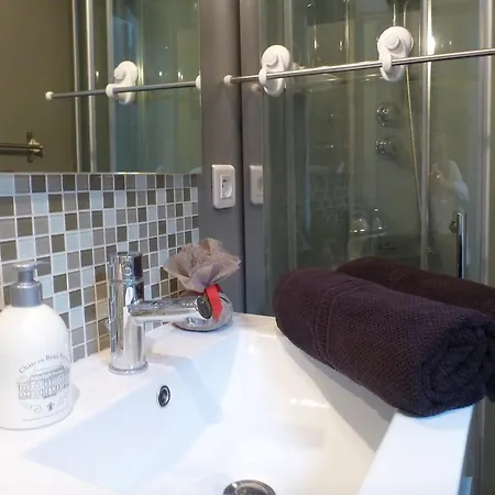 Speculoos Et Chicoree *