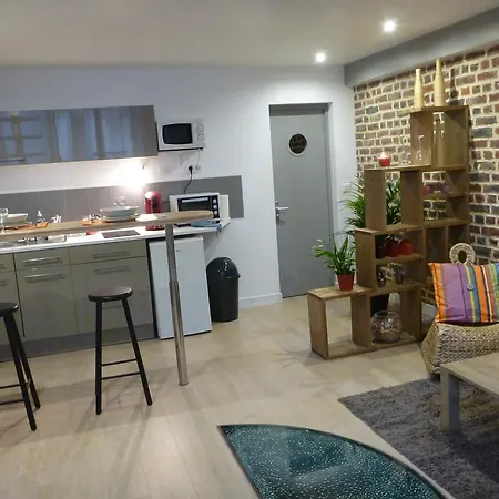 Speculoos Et Chicoree