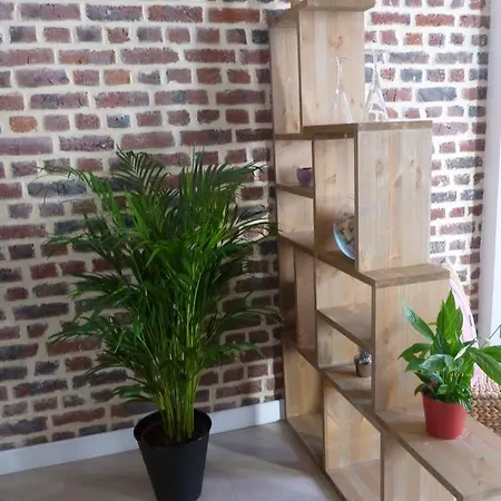 Apartmán Speculoos Et Chicoree *