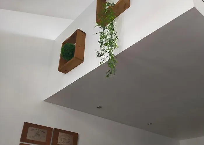 Apartament Speculoos Et Chicoree