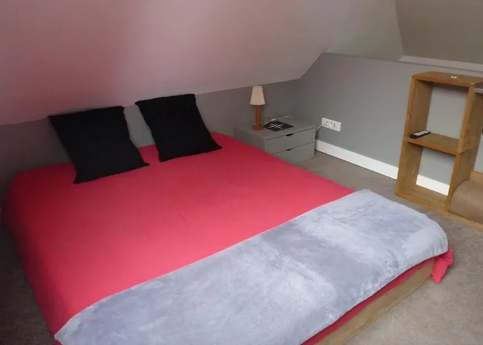 Speculoos Et Chicoree